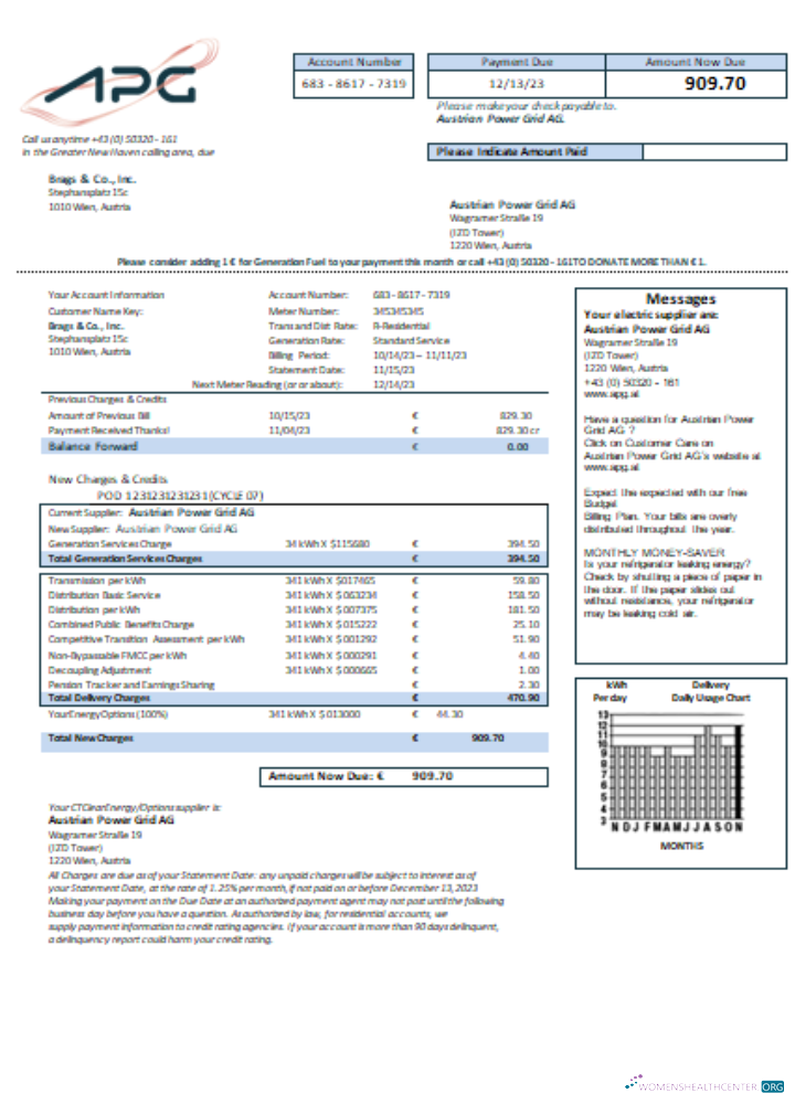 Download Austrian Power Grid AG utility business bill, SCR Photoshop template